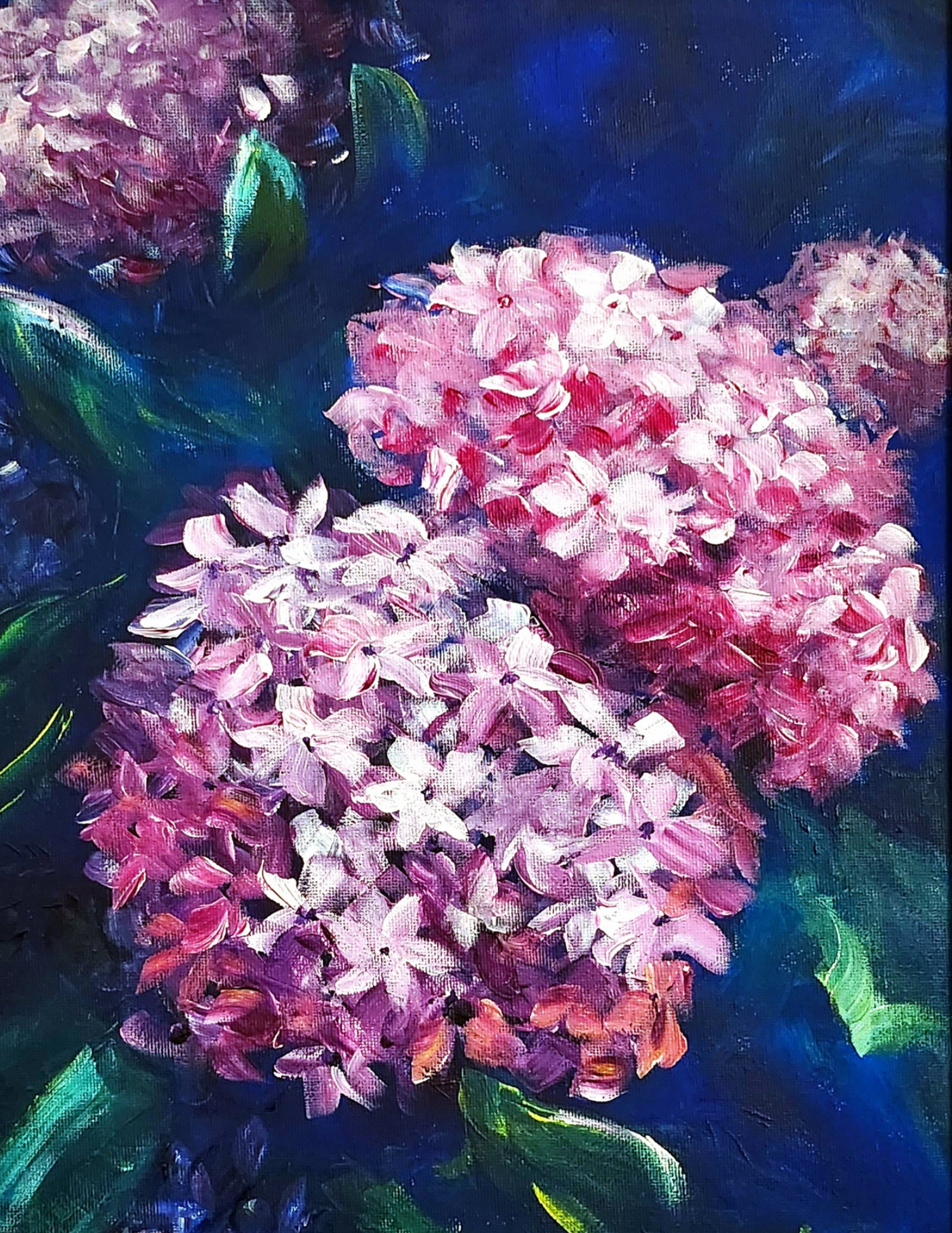 Hydrangeas